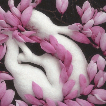 Не чета