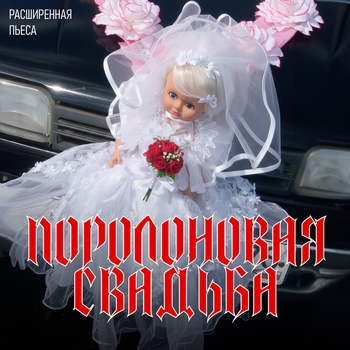 Долбоящер
