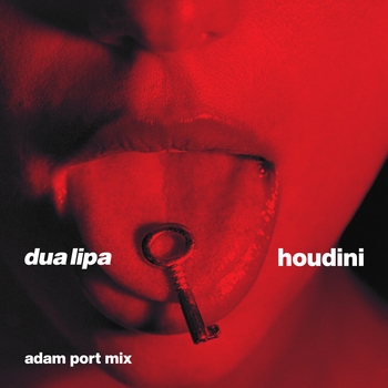 Houdini (Adam Port Mix) (2023) (Adam Port Mix)