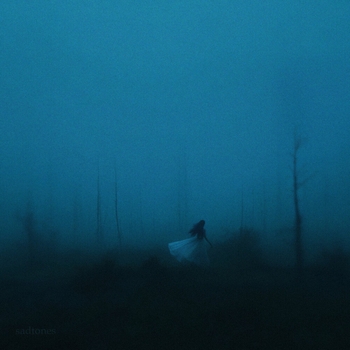 Phase