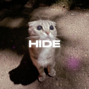 Hide (2024)