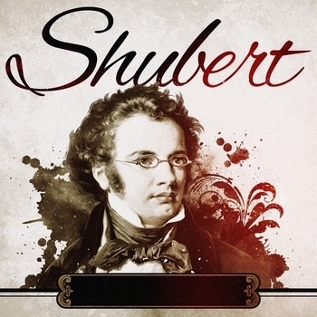 Symphony 8 bm, D 759: Unfinished: Allegro moderato