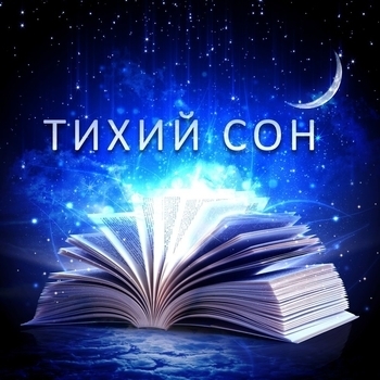 Солнечный год