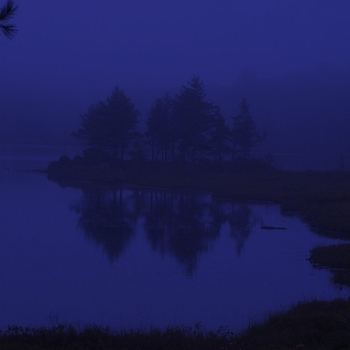 Early dawn